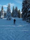 Road-Trips Feldberg 07.01.2006 HPIM4354.JPG HPIM4354.JPG